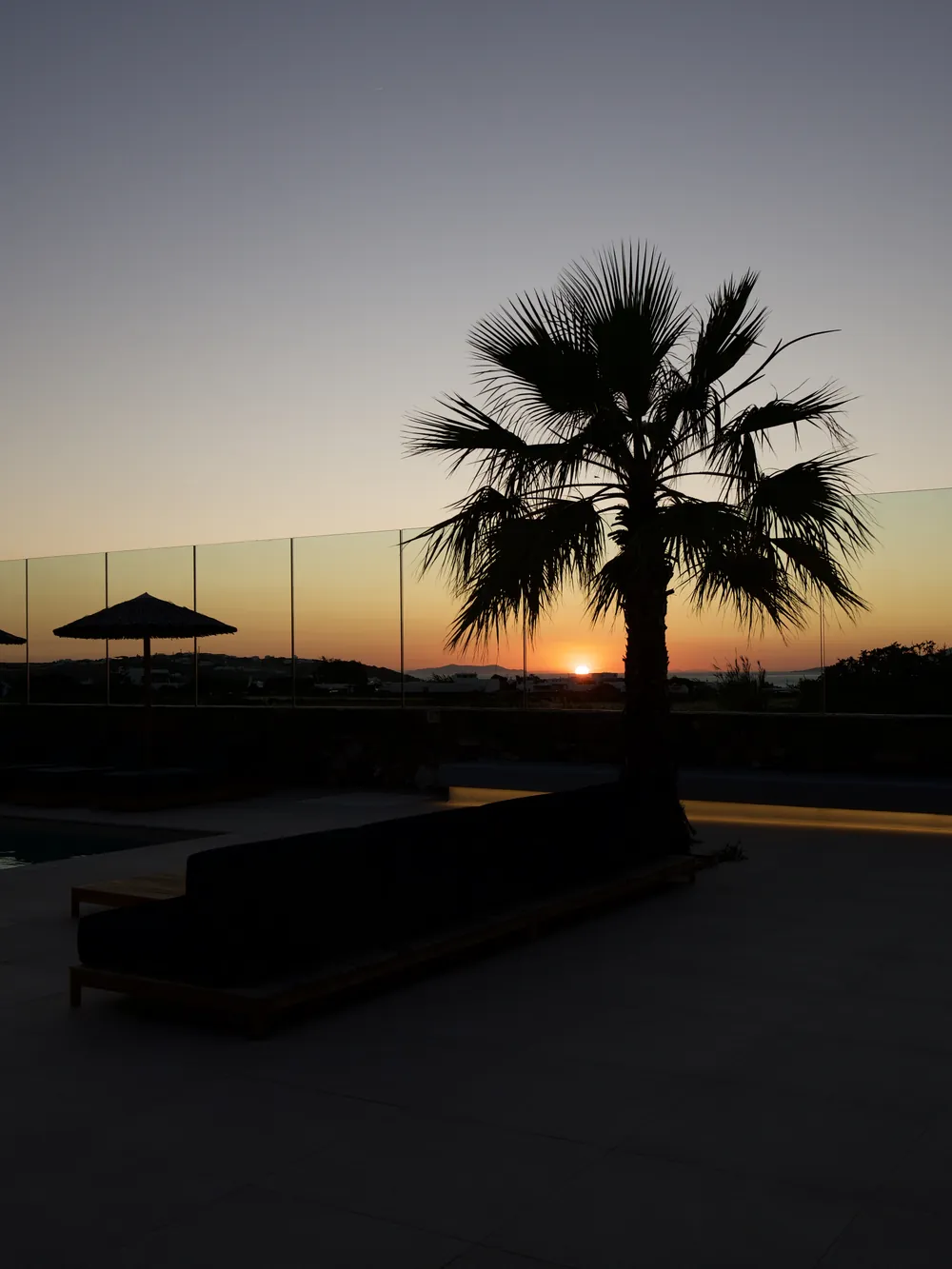 Sunset behind the palm at the pool